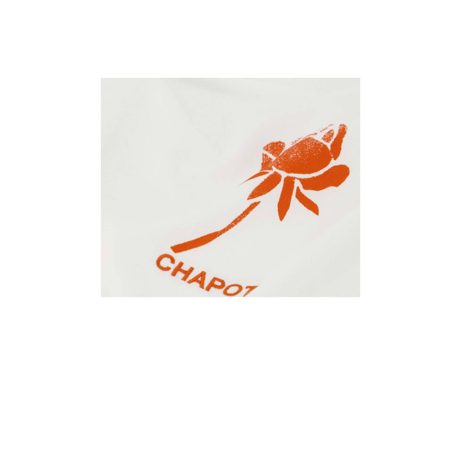 Fabienne Chapot T-shirt wit