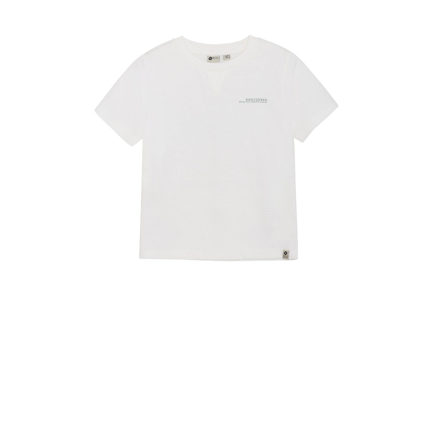 DAILY7 Jongens Polo's & T-shirts T-shirt Backprint Wit