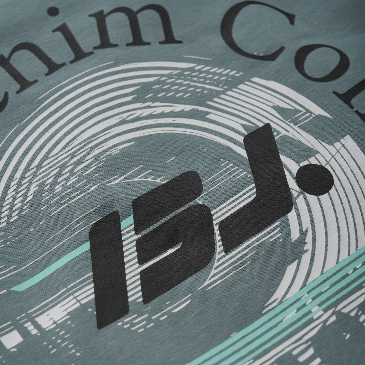 Indian Blue Jeans T-shirt grijs