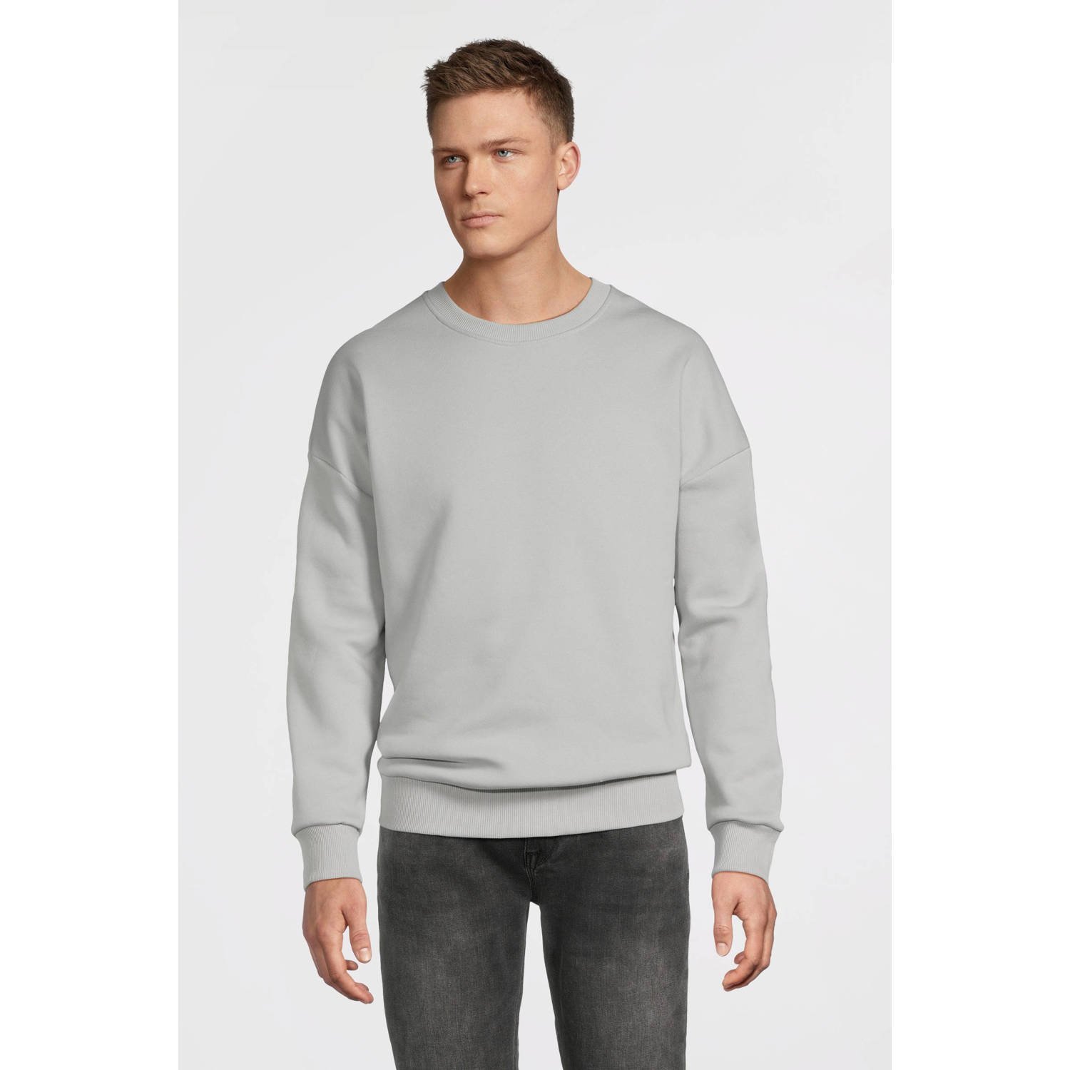 Cars sweater lichtgrijs