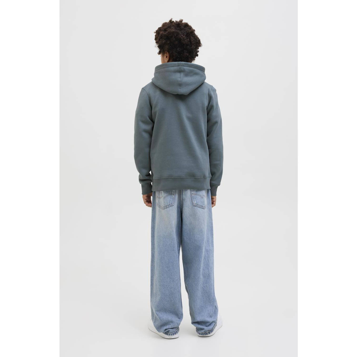 JACK & JONES JUNIOR hoodie grijs