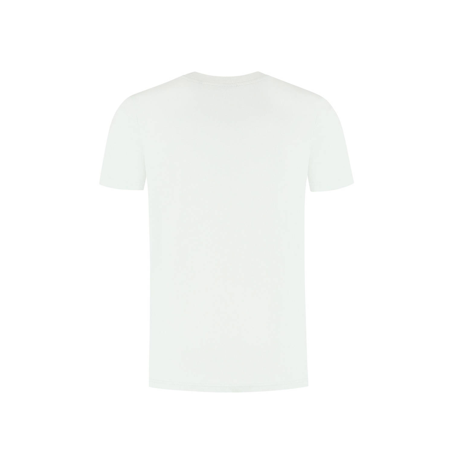 Ballin T-shirt mintgroen