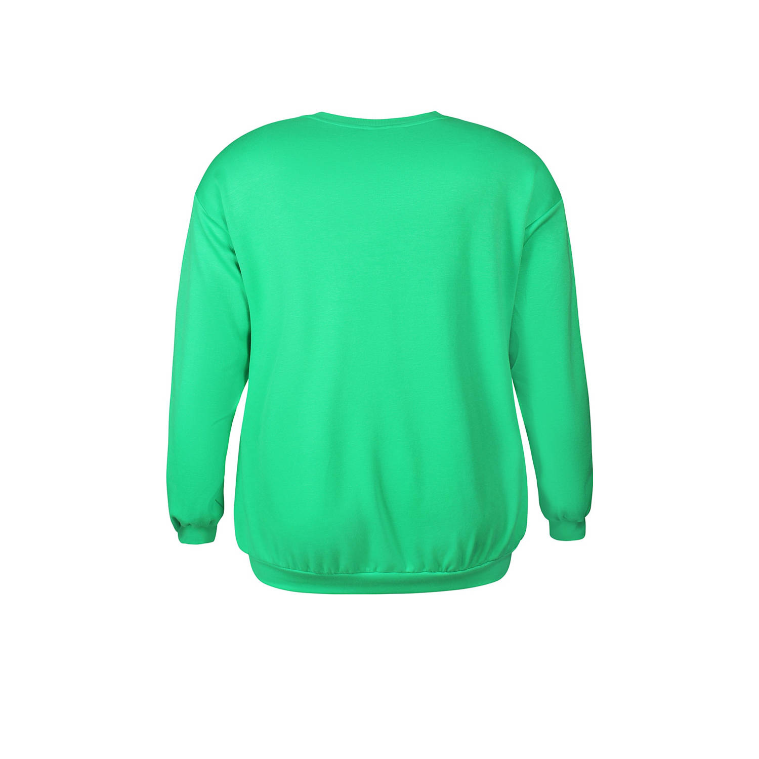 Anyday sweater groen