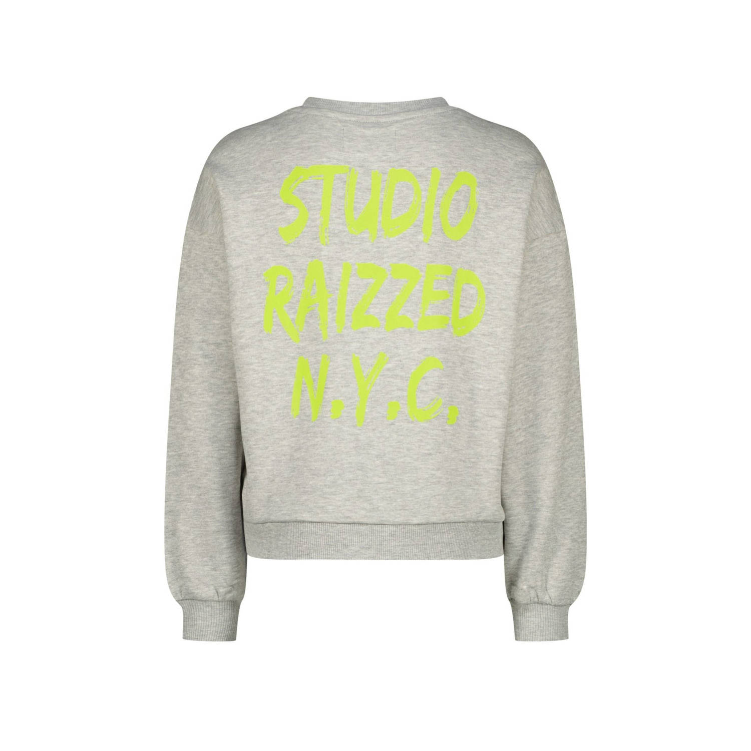 Raizzed sweater grijs melange