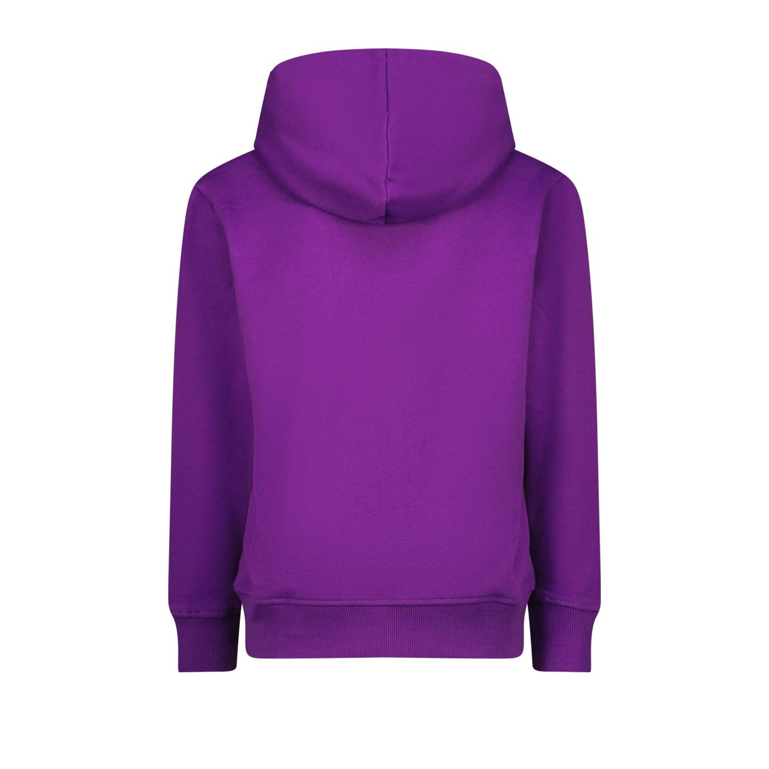 Raizzed hoodie paars