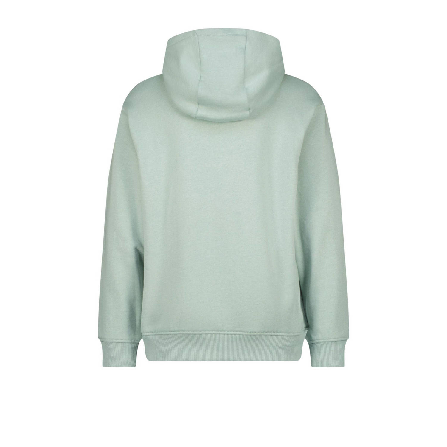 Raizzed hoodie grijs