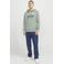 JACK & JONES ESSENTIALS hoodie lichtgroen