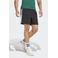 adidas Sportswear short zwart