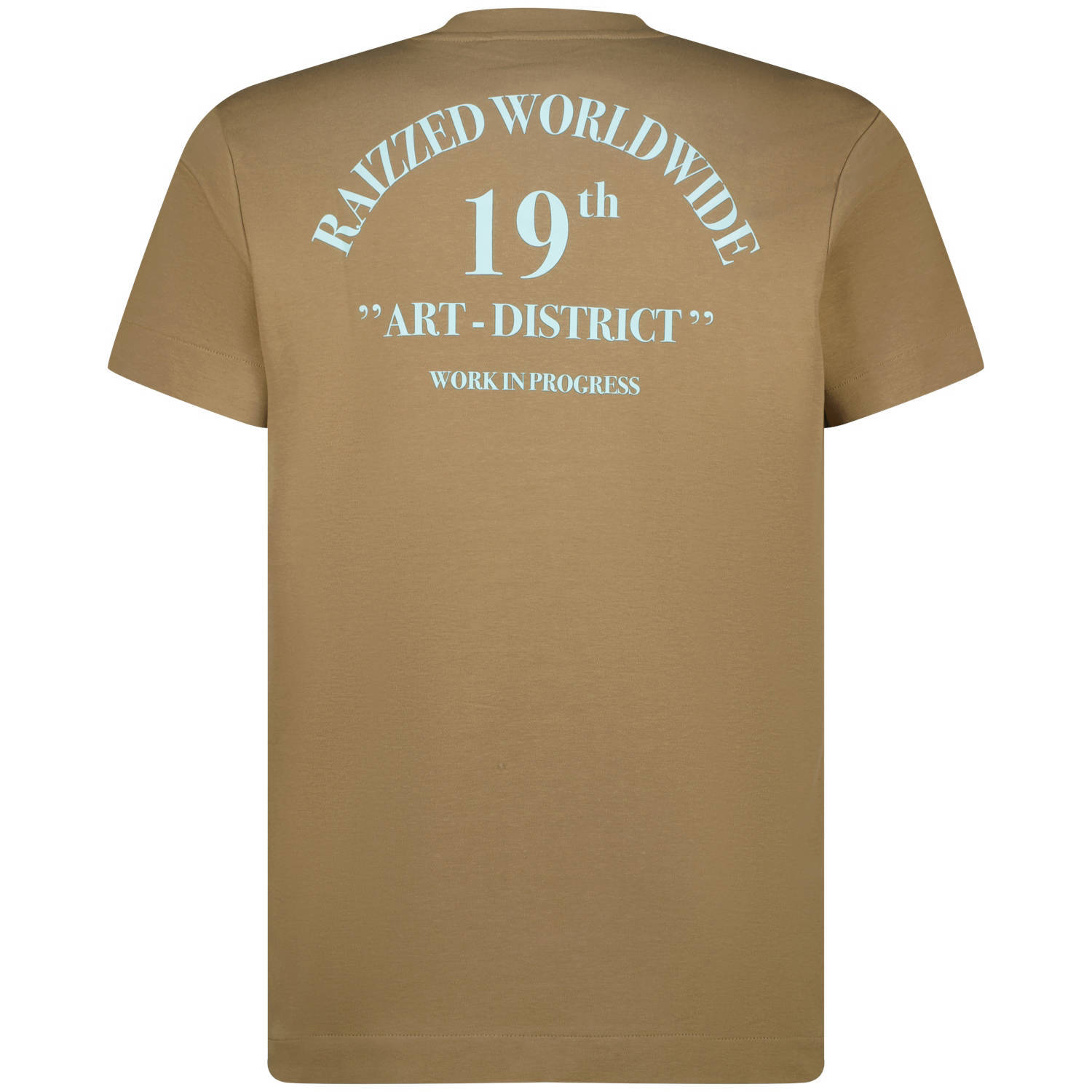 Raizzed T-shirt bruin