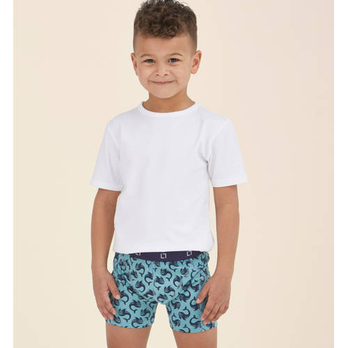 Little Label boxershort - set van 5 blauw afbeelding