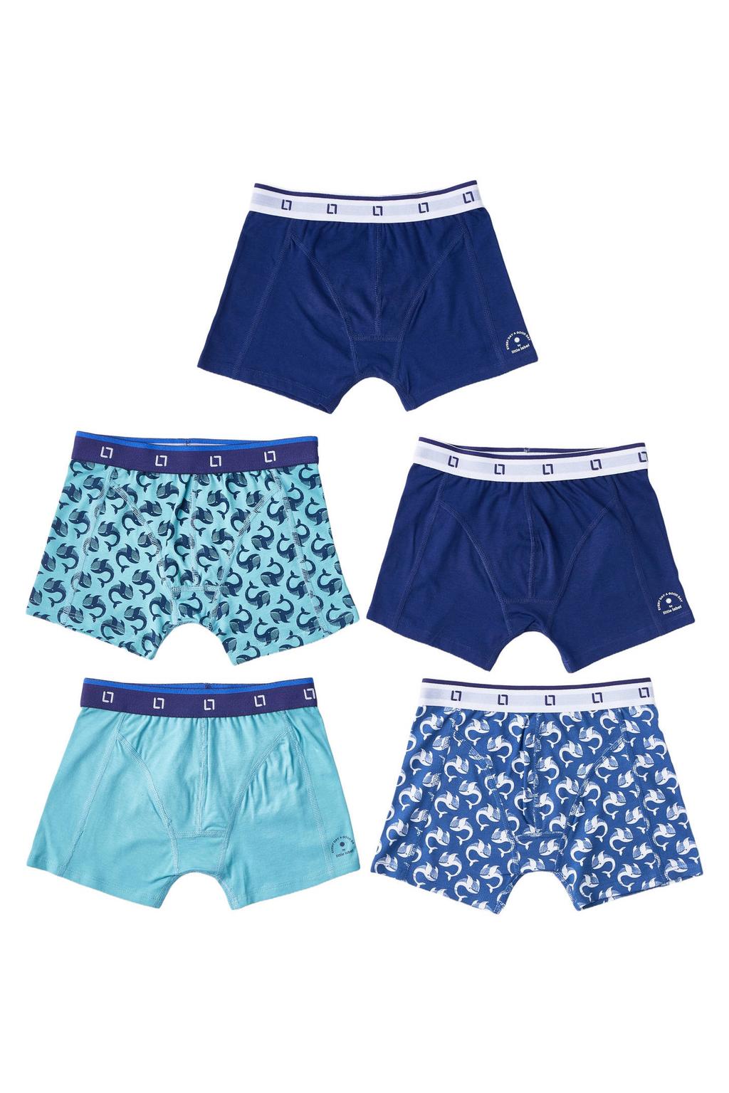 Little Label boxershort - blauw (set van 5)