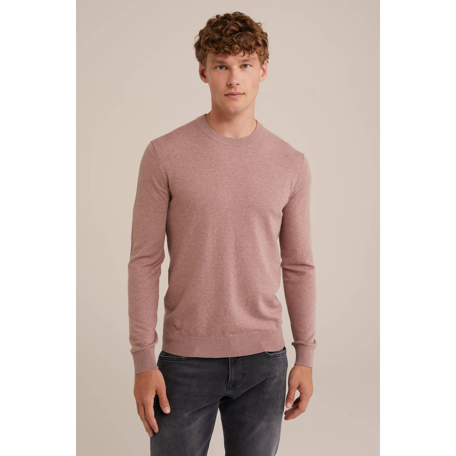 WE Fashion WE Fundamentals trui oudroze fijn gebreid