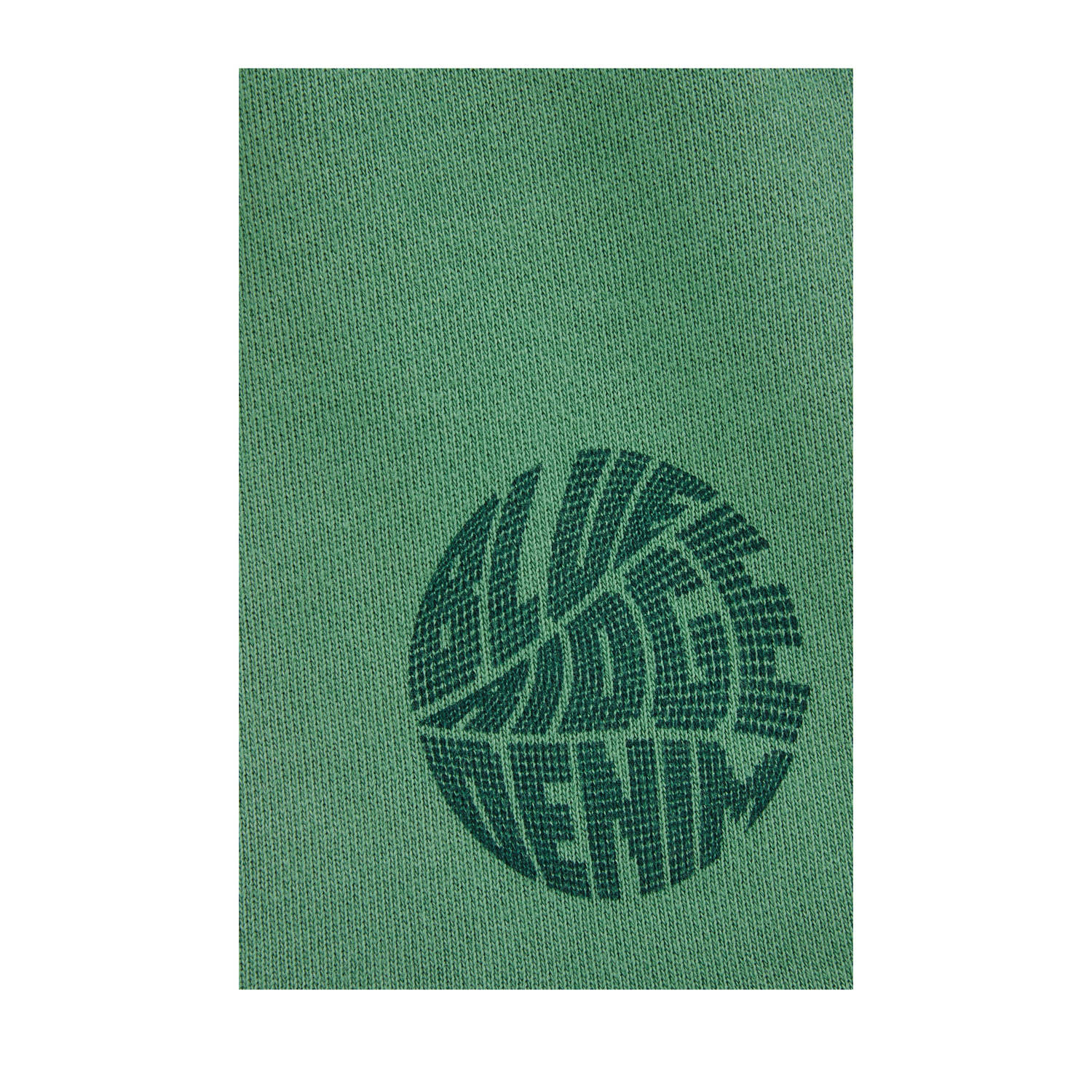 WE Fashion Blue Ridge sweatshort groen