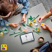 thumbnail: LEGO Botanical Collection Klein zomers boeket 10347