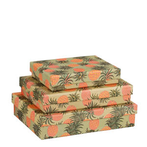 opbergdoos (set van 3) 