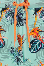 thumbnail: WE Fashion zwemboxer lichtblauw/donkerblauw/oranje