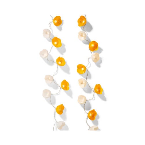 Lumineo Feestverlichting lichtsnoer 15 leds afbeelding