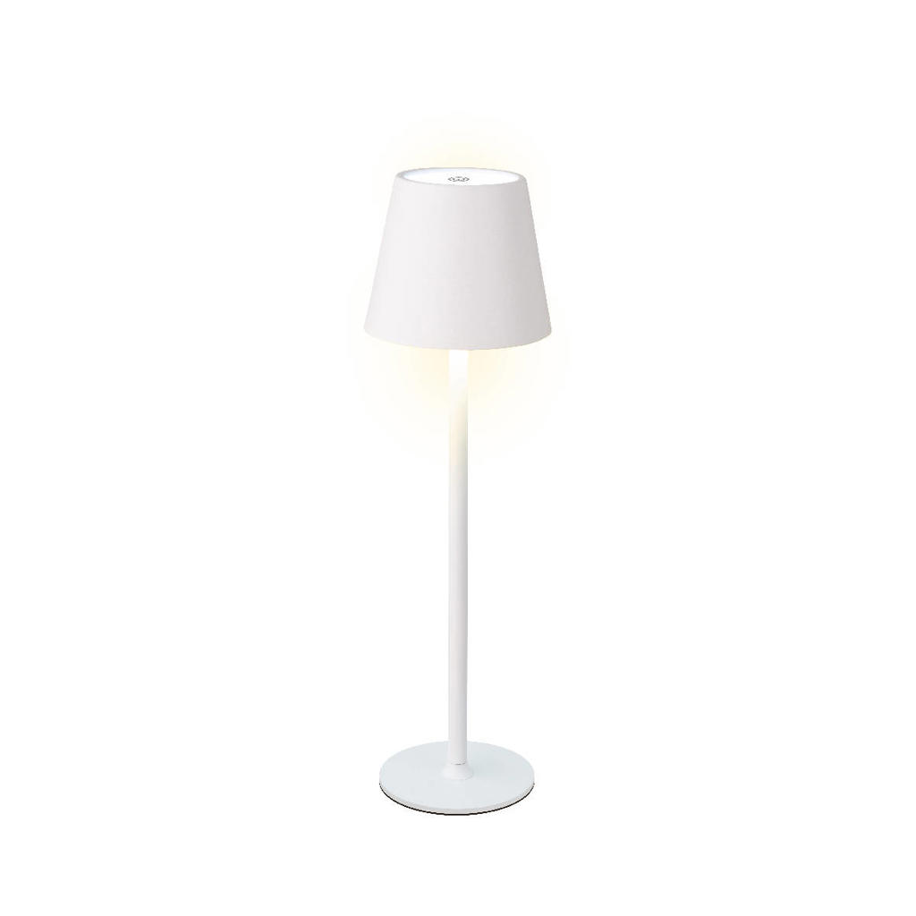 Outdoor lamp met afstandsbediening, draagbare led-tafellamp voor buiten, met 16 kleuren, USB-oplaadbaar, waterdicht, batterijlamp, draadloos, voor tuin, bar, slaapkamer, camping (fles