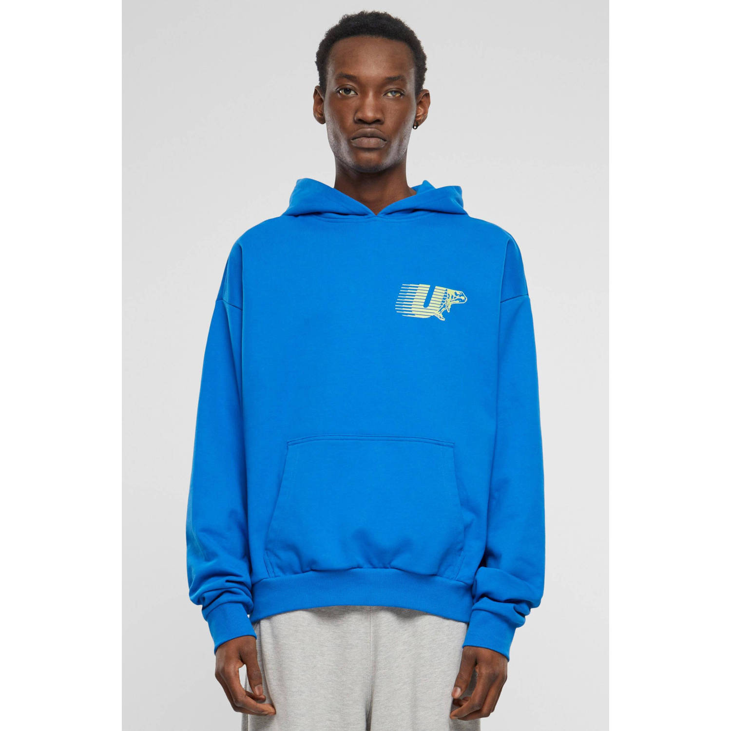 Upscale hoodie blauw