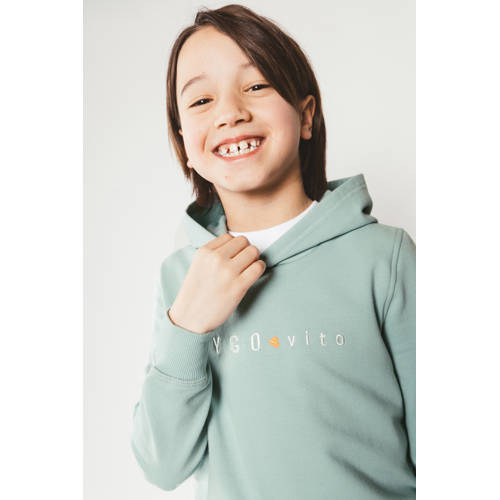 TYGO & vito hoodie groen afbeelding