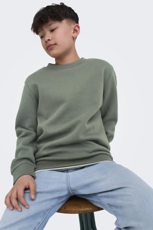 sweater grijs