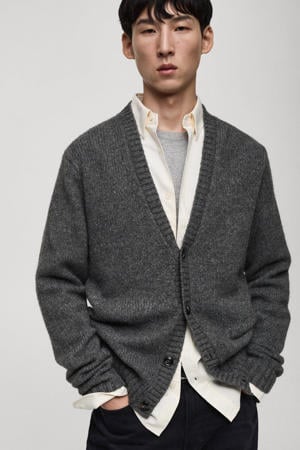 gebreid vest grijs