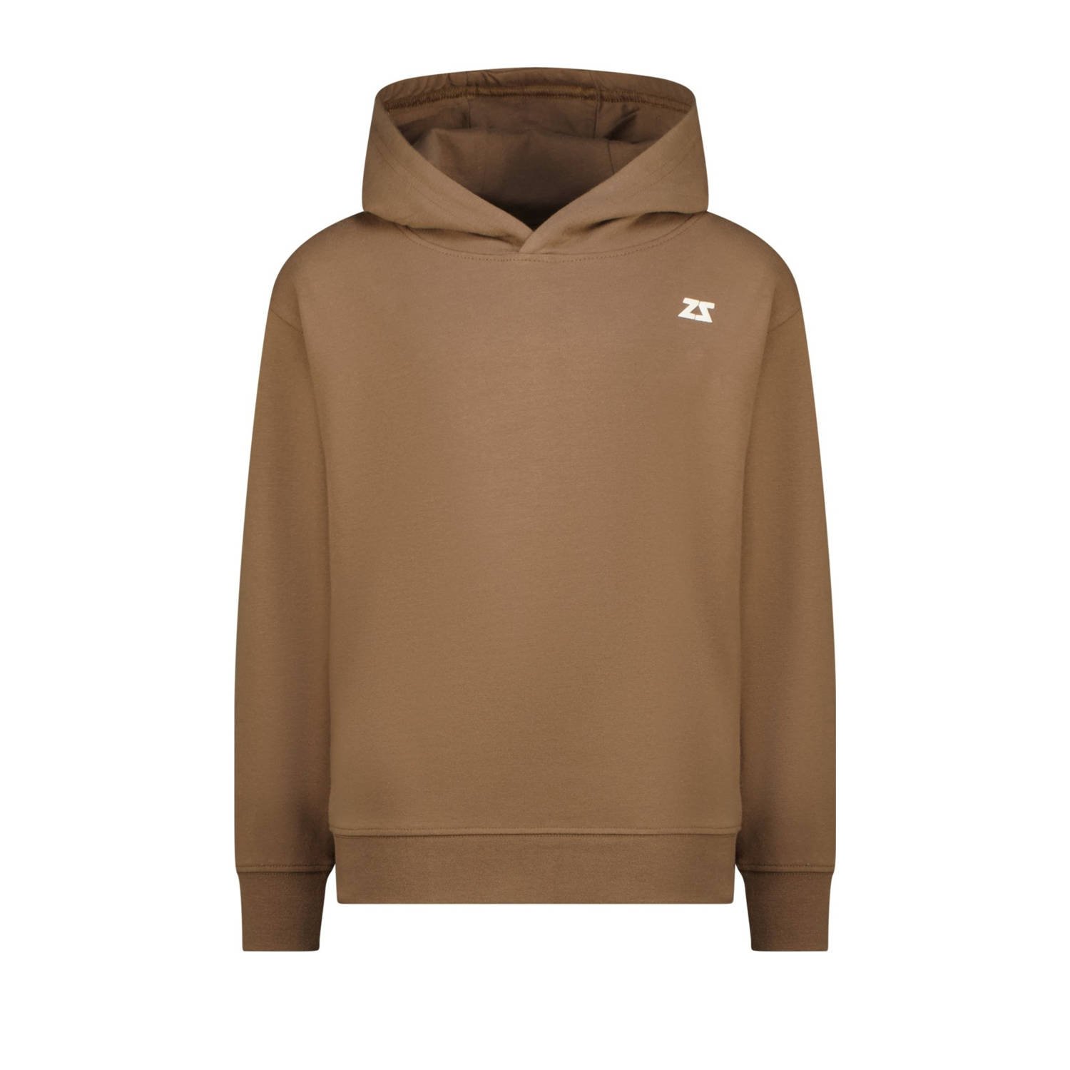 Raizzed hoodie bruin