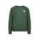 Raizzed sweater groen