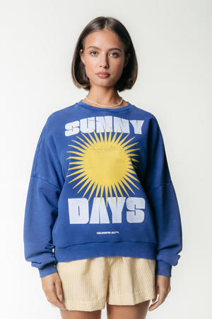 sweater blauw