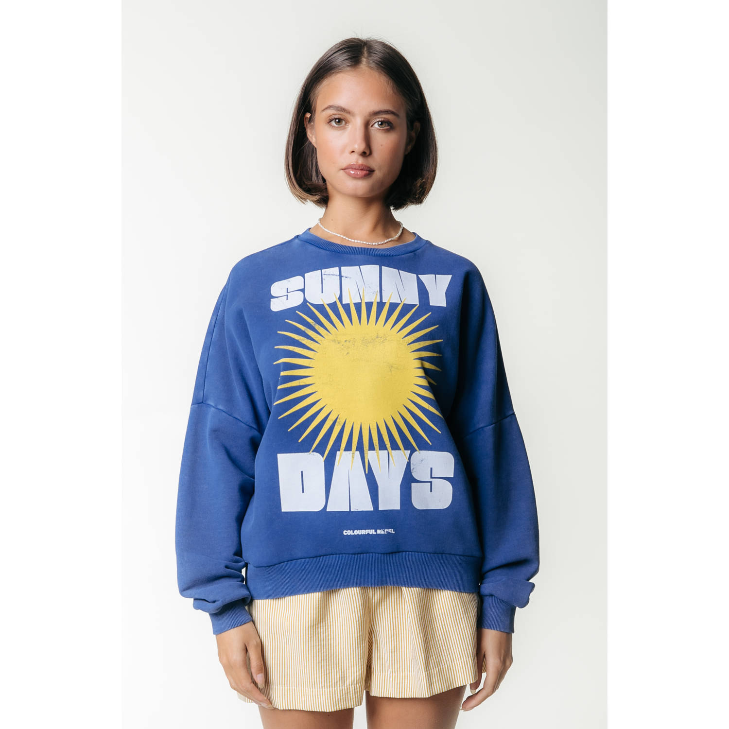 Colourful Rebel sweater blauw