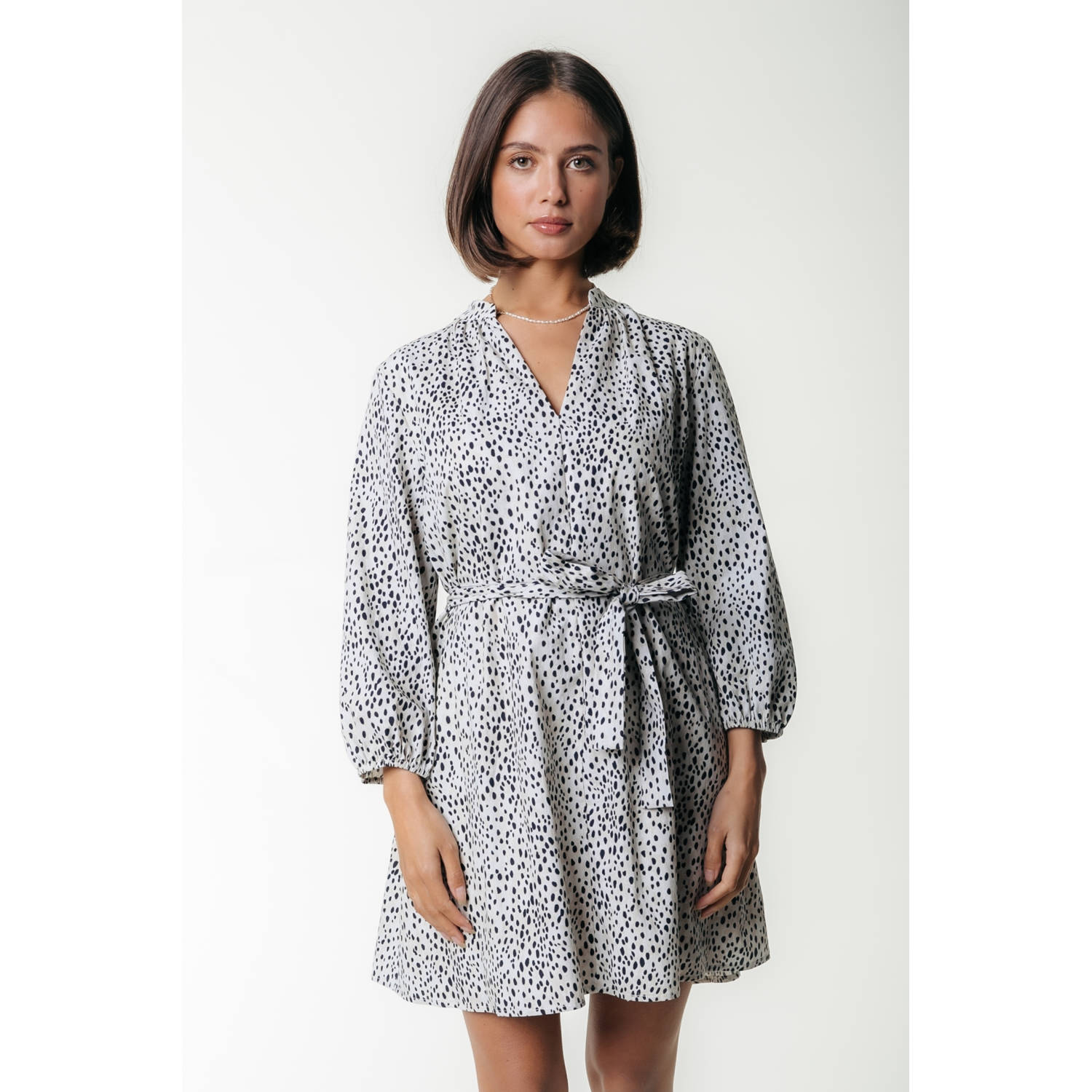 COLOURFUL REBEL Dames Jurken Lize Cheetah Shirt Mini Dress Ss Wit