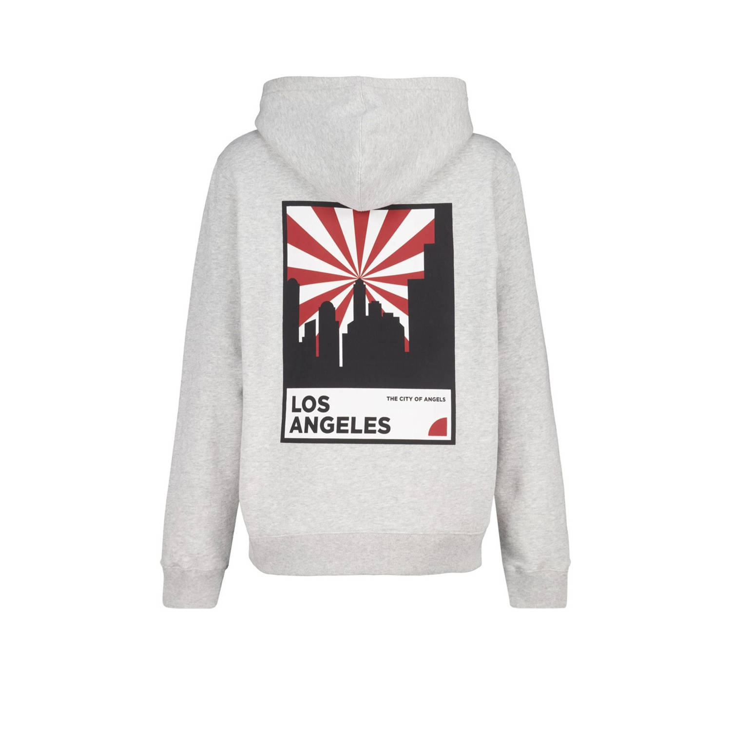 America Today hoodie grijs