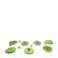 BS Toys Wiebelpad