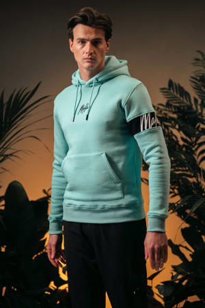 hoodie blauw 