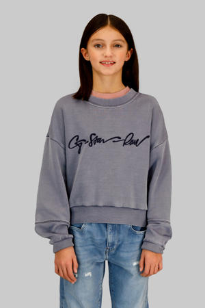 sweater blauw