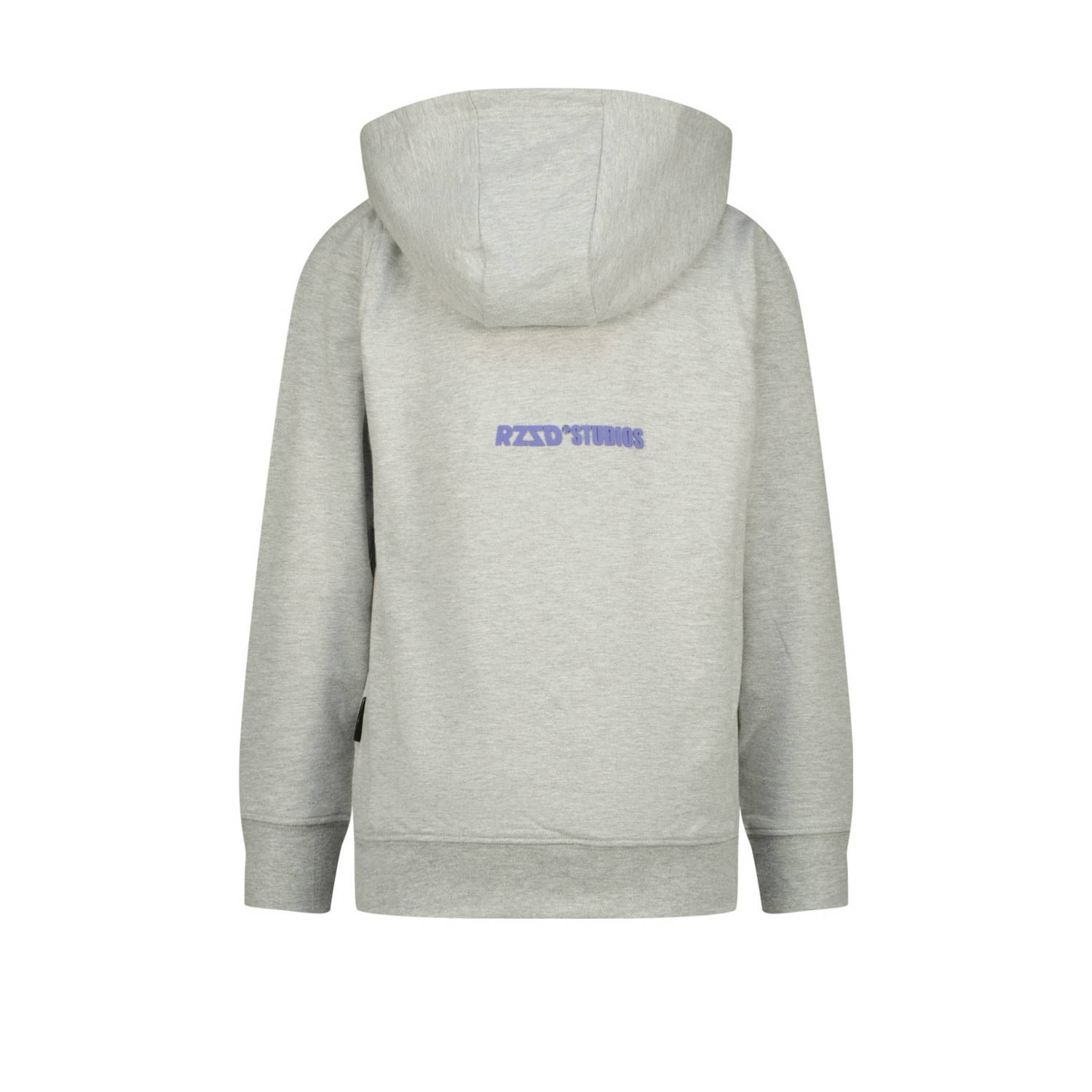 Raizzed hoodie grijs melange