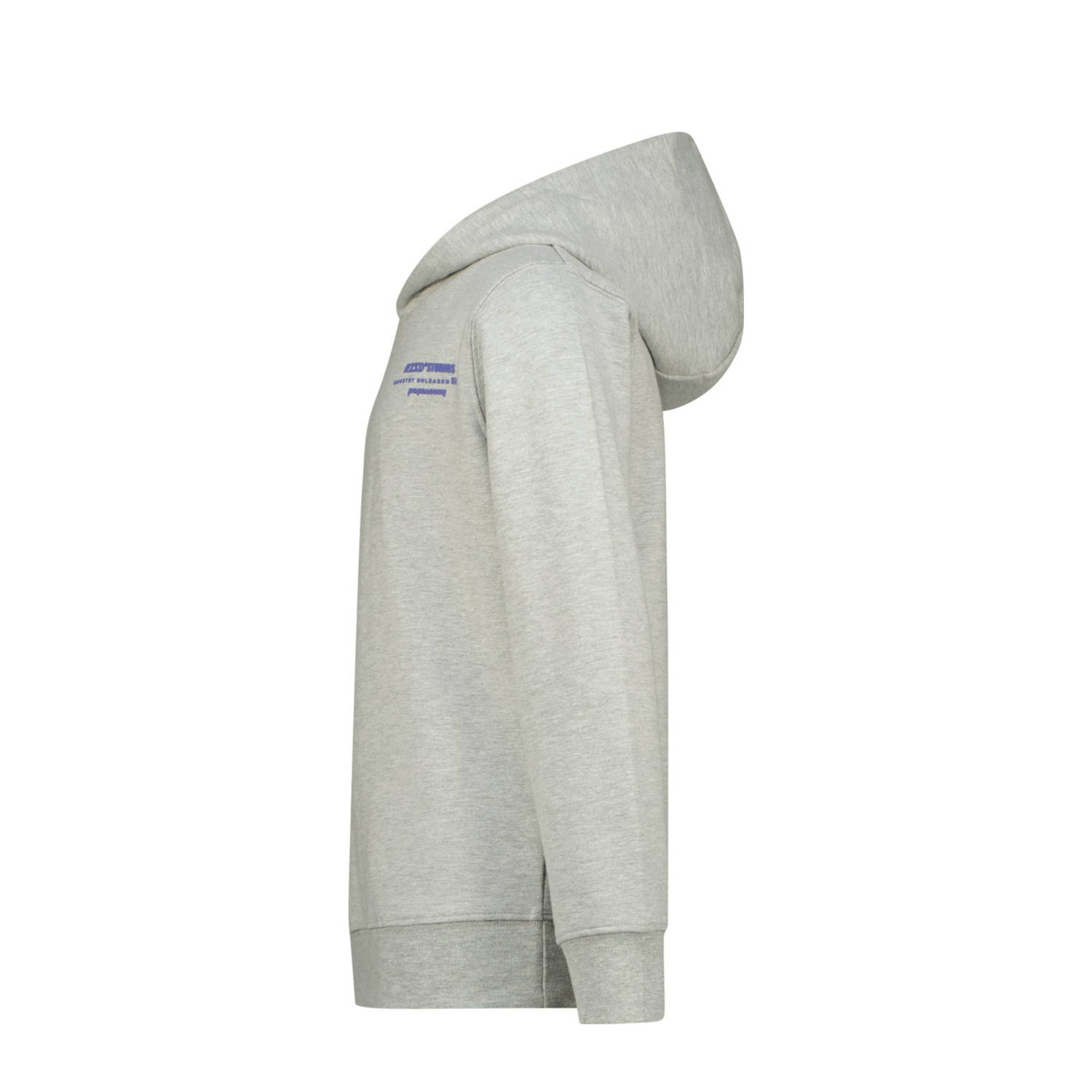 Raizzed hoodie grijs melange