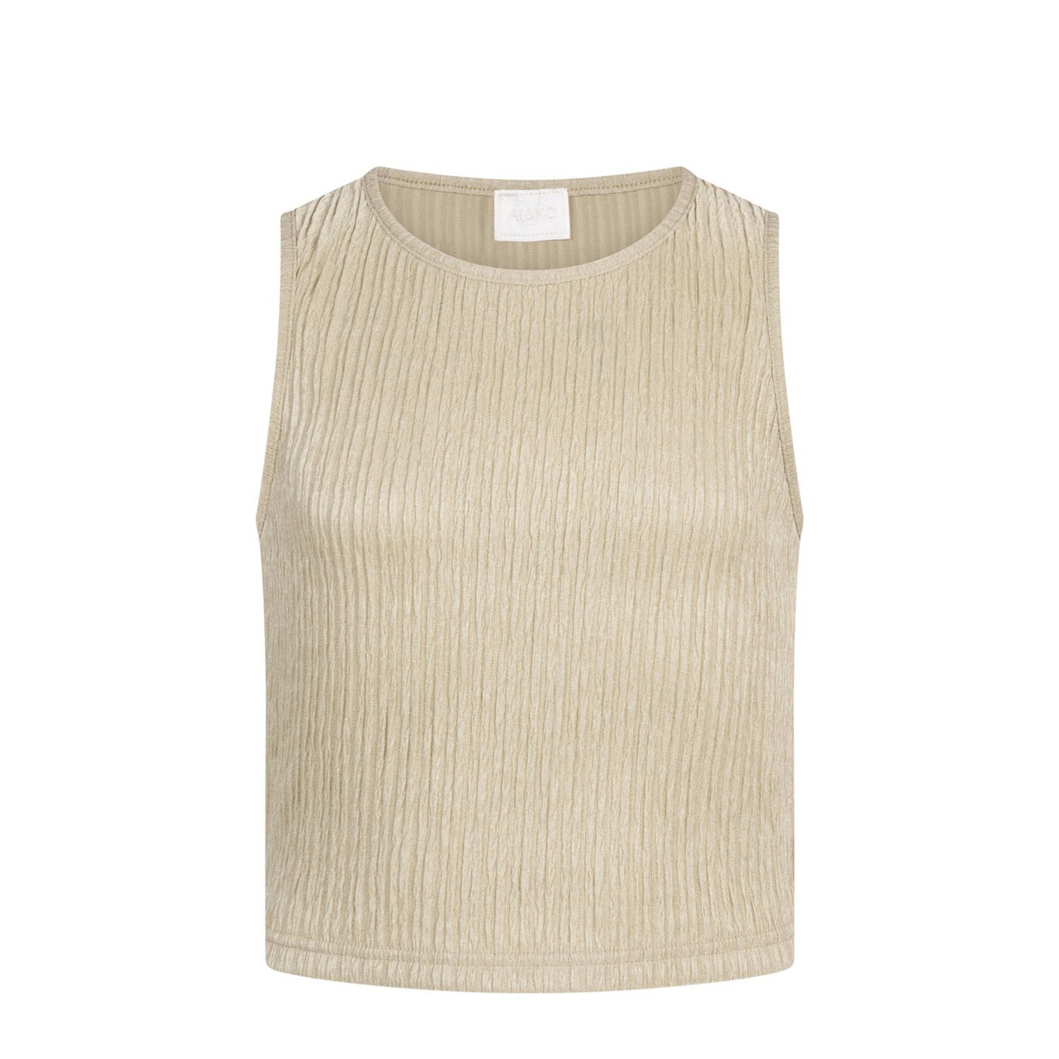 AI&KO Meisjes Tops & T-shirts Daira Pes 145 G Beige