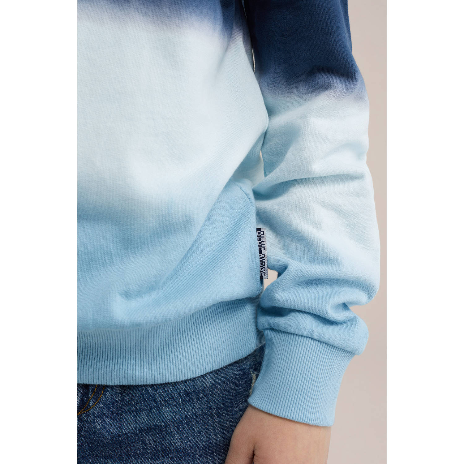 WE Fashion Blue Ridge sweater blauw