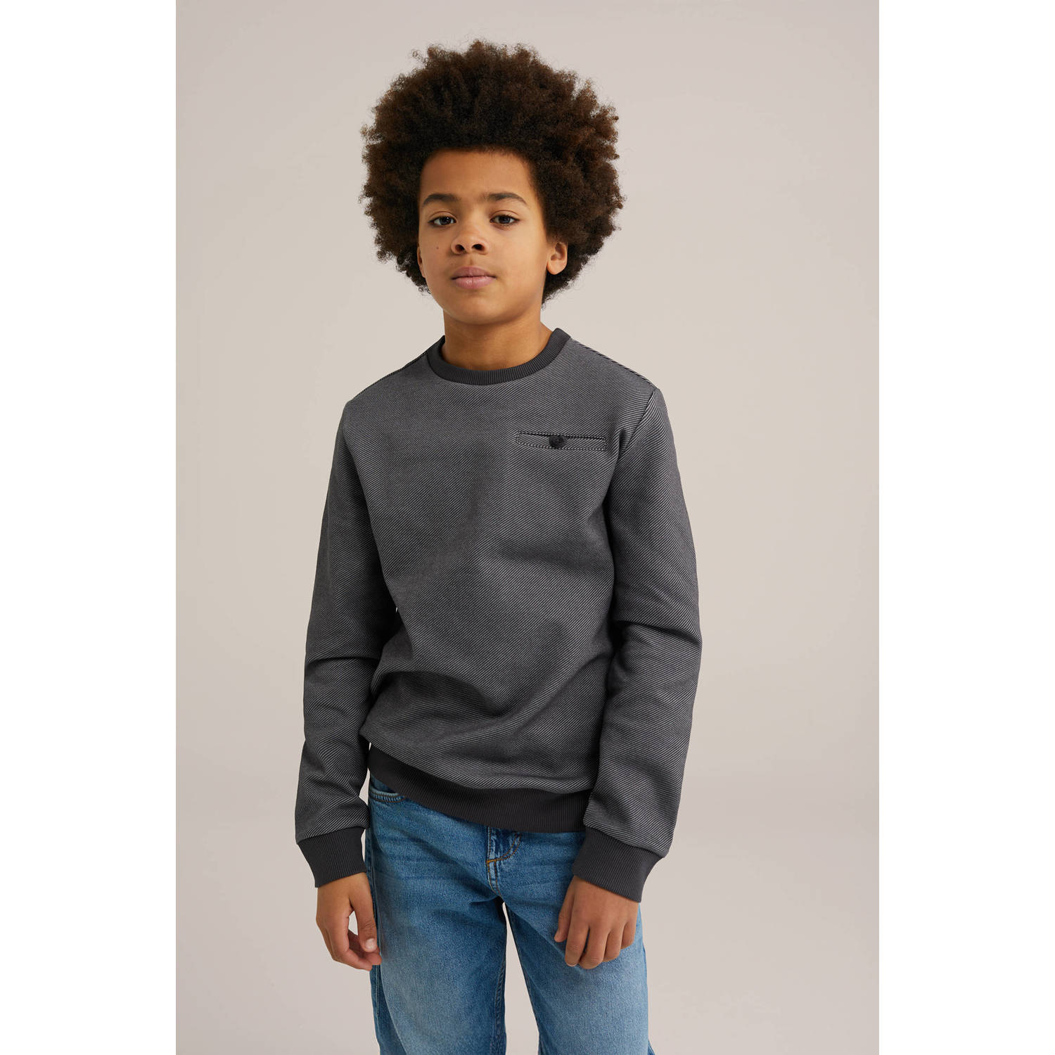 WE Fashion Blue Ridge sweater bruin