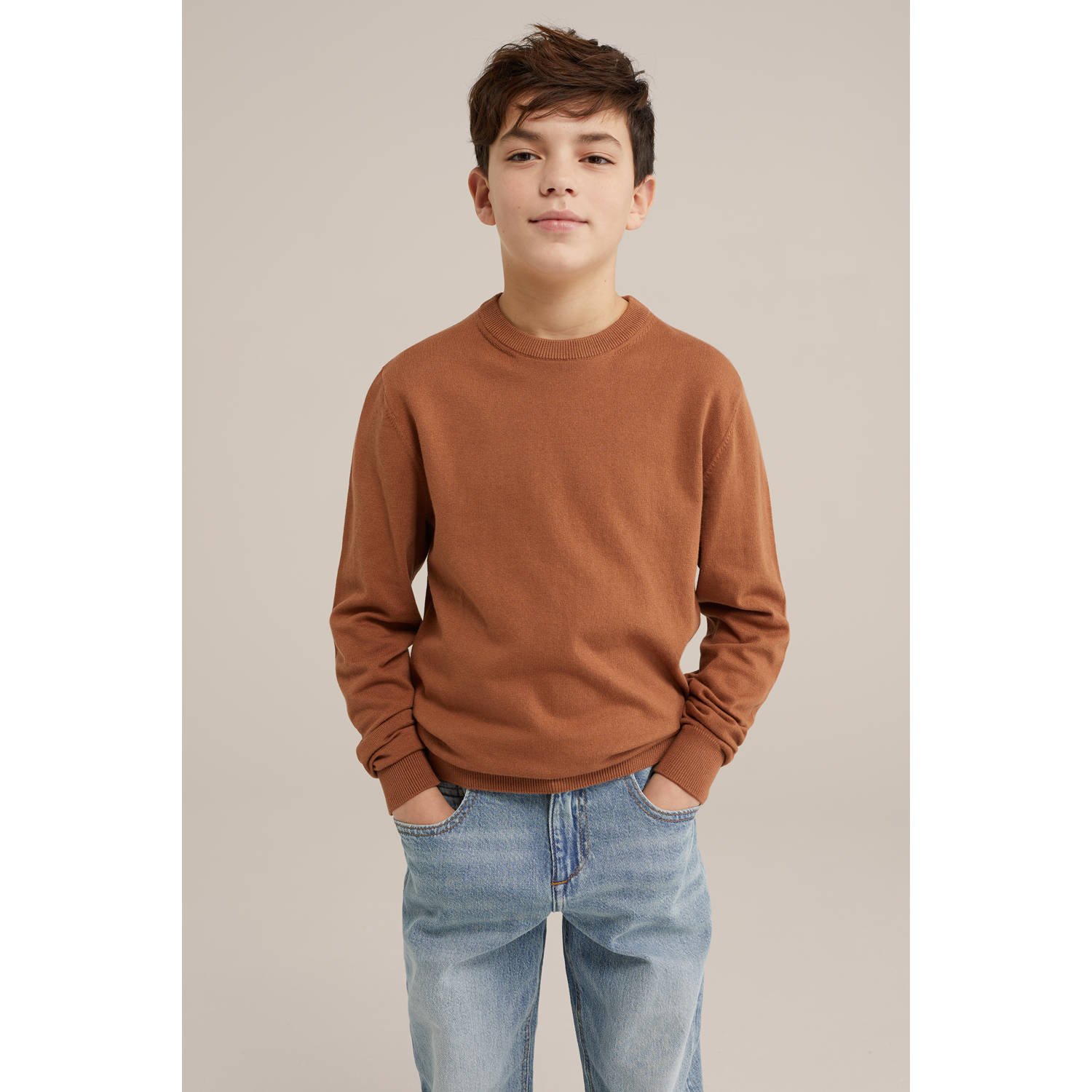 WE Fashion Blue Ridge fijn gebreide trui lichtbruin