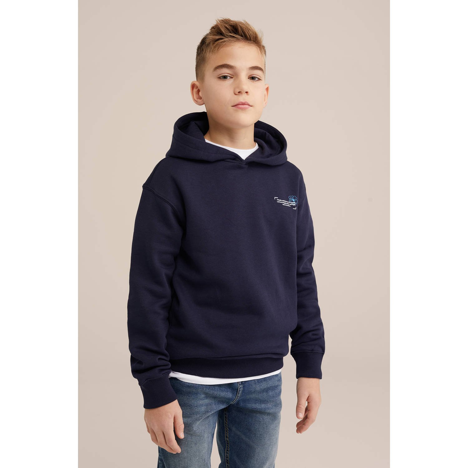 WE Fashion Blue Ridge sweater blauw