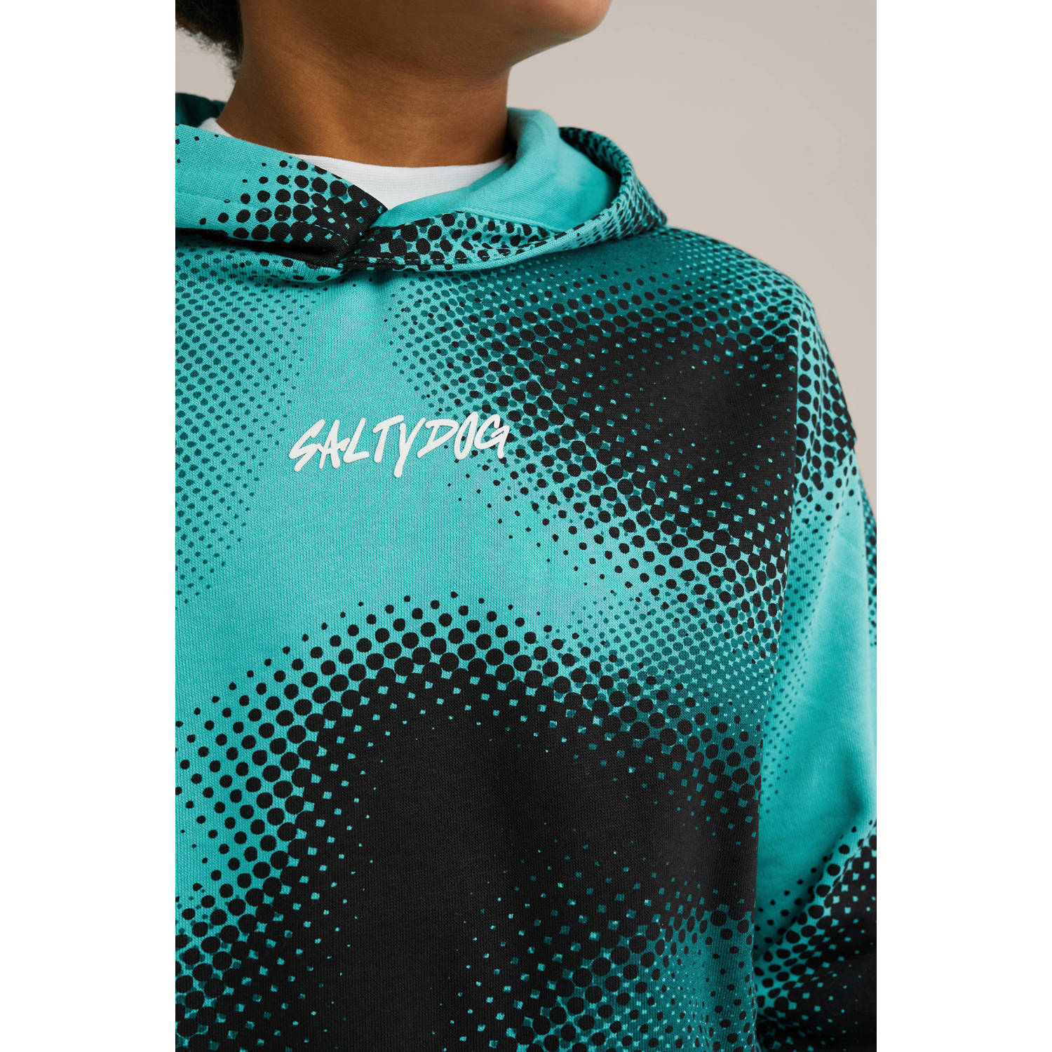 Salty Dog sweater blauw