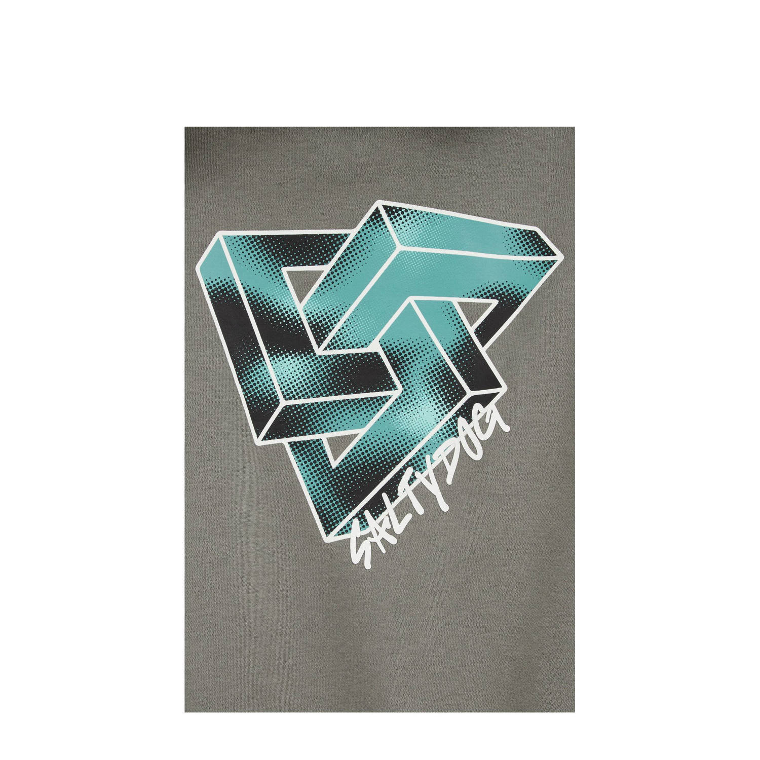Salty Dog hoodie grijsgroen
