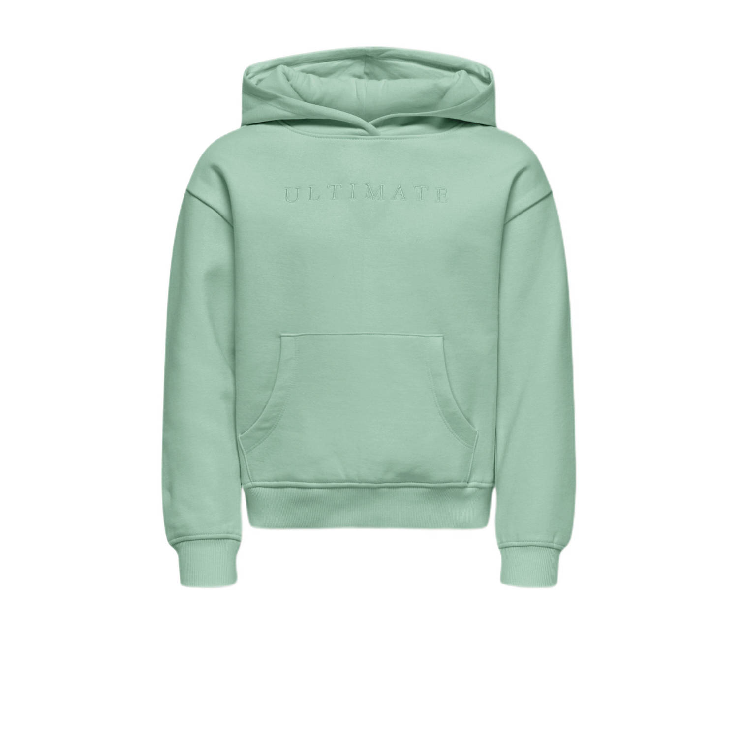 KIDS ONLY Hoodie KOGBILLIE L S HOODIE SWT
