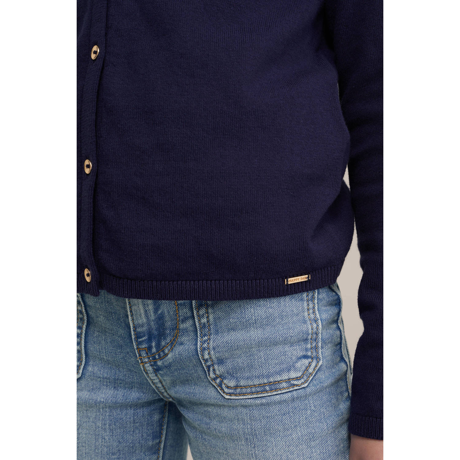 WE Fashion vest donkerblauw fijn gebreid