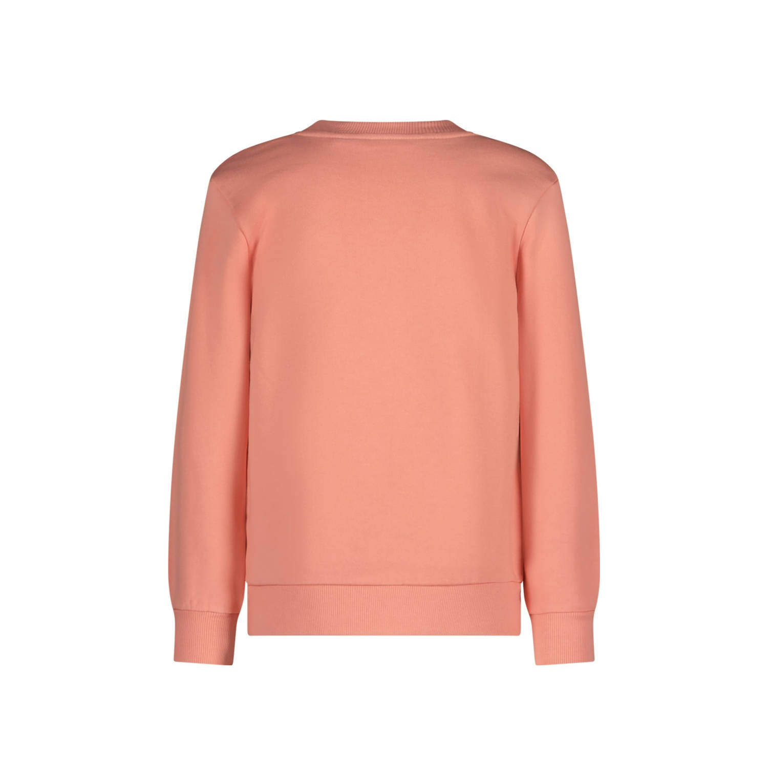 TYGO & vito sweater zalm