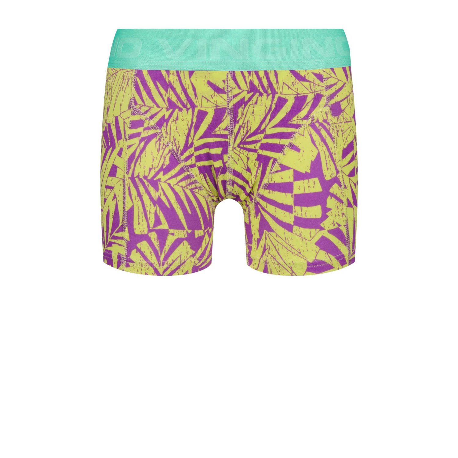 Vingino boxershort set van 3 mintgroen paars multicolor