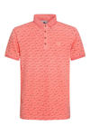 Light coral