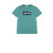 Levi's Kids T-shirt groen